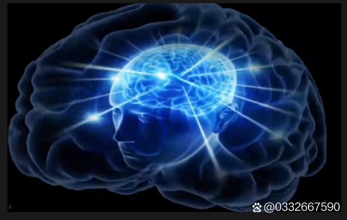 91黑料 - 娱乐圈塌房事件全记录:那些年我们追过的明星都怎么了 娱乐圈塌房事件全记录:那些年我们追过的明星都怎么了